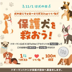 11月1日は犬の日！ フォロー＆リポストorいいねで保護犬団体へ寄付ができる　 ドギーマンの公式X(旧：Twitter)にて募金キャンペーン実施