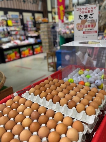 「ピンポン玉で卵つまみ取り」