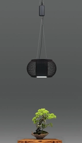 盆栽をアートなインテリアに