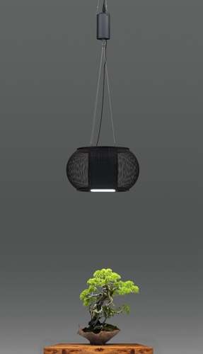 サイリウムペンダントライト