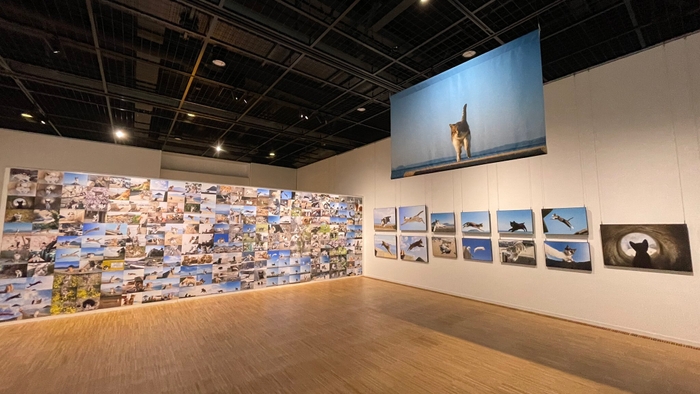 過去の展示の様子1　作家コーナー