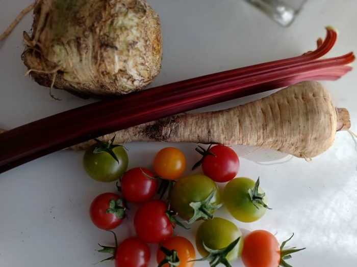 農家さんより依頼の輸入野菜