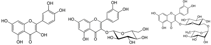 左からケルセチン、イソクエルシトリン、ルチン