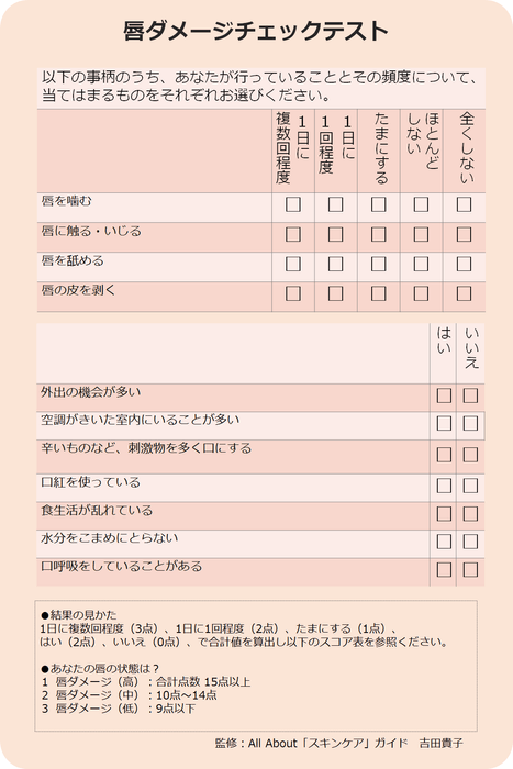 唇ダメージチェックテスト