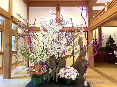 前回個展より