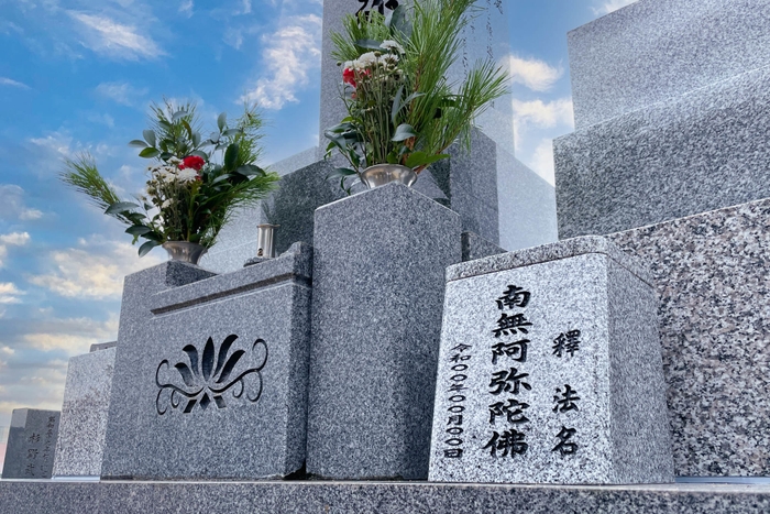 設置イメージ画像