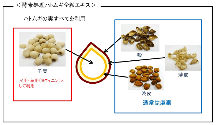 ハトムギ_結果検証1