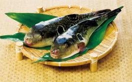 長浜河豚「トラフグ」