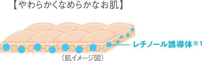 レチノール誘導体※1配合