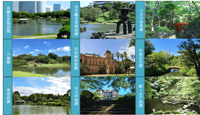 夏季の都立9庭園