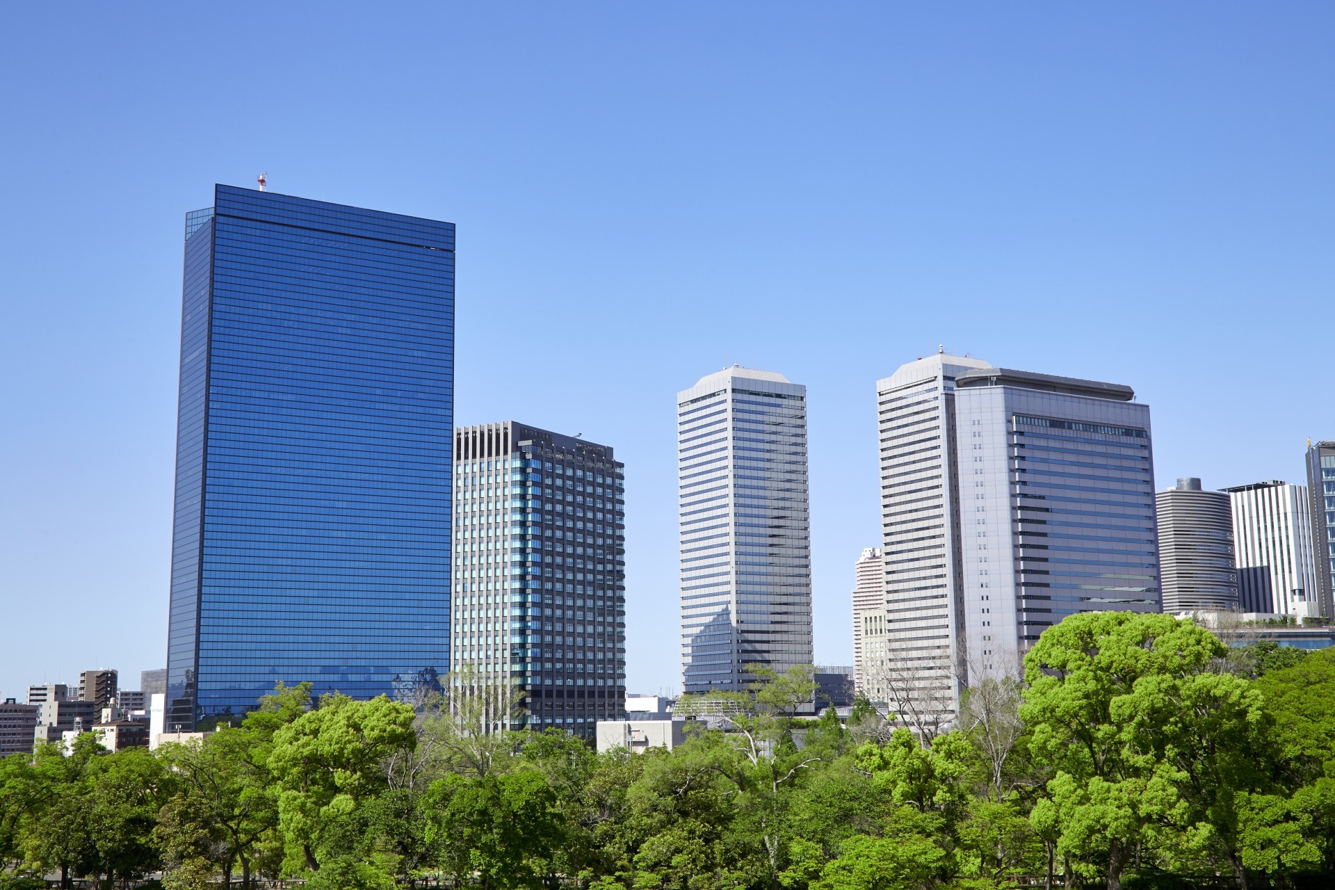 大阪エリア初出店!【株式会社さすがや】