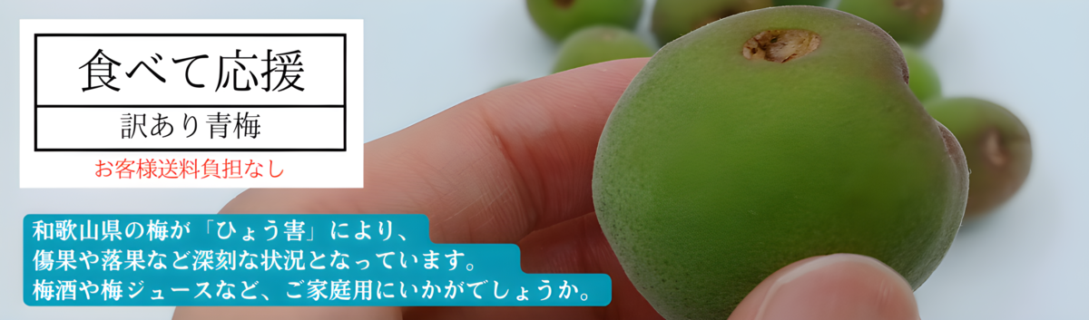 ひょう害の影響を受けた和歌山の青梅を応援！ ＪＡタウンで「和歌山の青梅　食べて応援企画」を実施