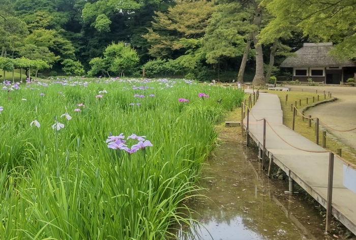 木道の様子