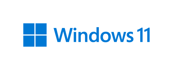 Windows 11