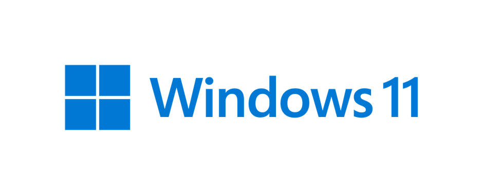 Windows 11