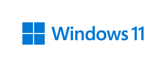 Windows 11