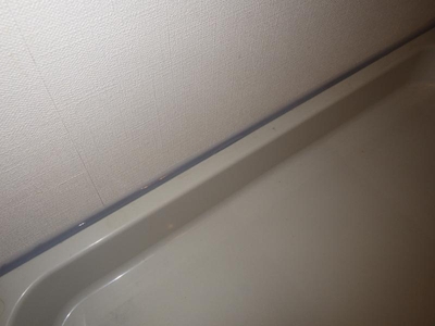 洗濯防水パンのゴキブリ侵入対策