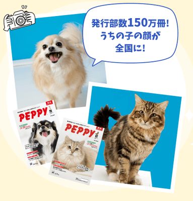 【特賞】プロの手による本格的な「モデル撮影体験」