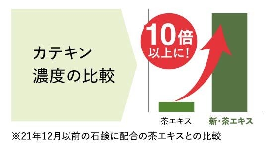 カテキン濃度の比較