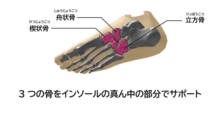 3つの足の骨を考慮した設計