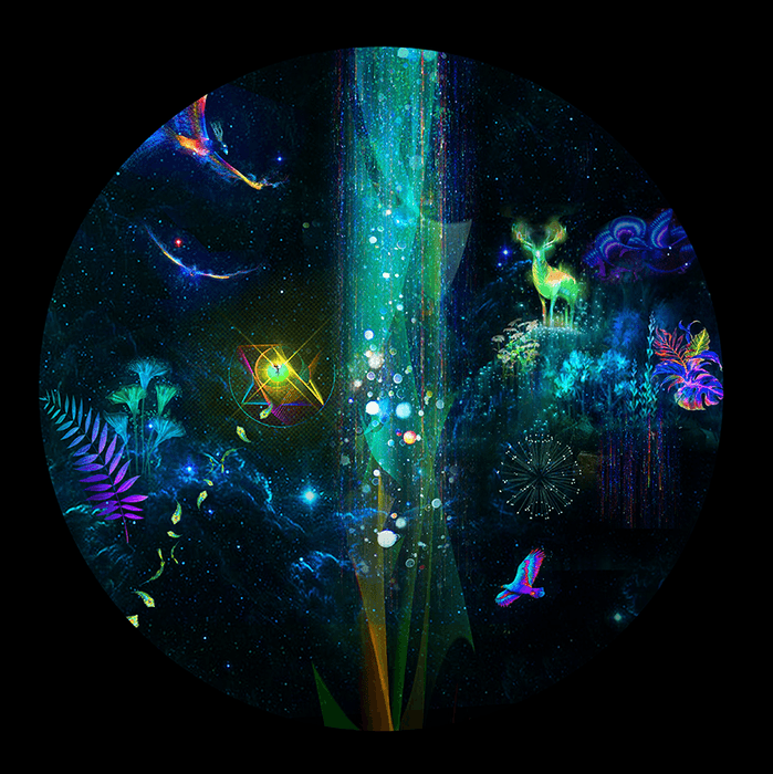 ブラジルの精神世界2