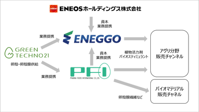 タマゴの薄膜(卵殻膜)で新市場創出　ＥＮＥＯＳホールディングスと共同出資でCO2削減と循環型社会の実現を目指す