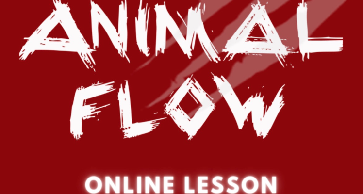 マナティーおすすめレッスン 【アニマルフロー(フィットネス)×リモートレッスン】