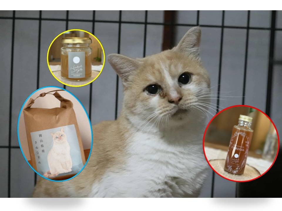 歌声合成ソフト「VoiSona」の新規ボイスライブラリ 「那由歌(CV