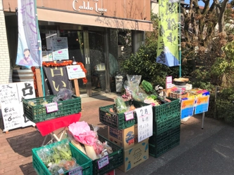 【お坊さんが間借り開業】素敵空間！占いとマルシェとカフェがハイブリッドに合体！　九（イチジク）が吉祥寺にオープン！