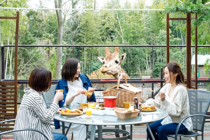 キリンと朝食が楽しめます