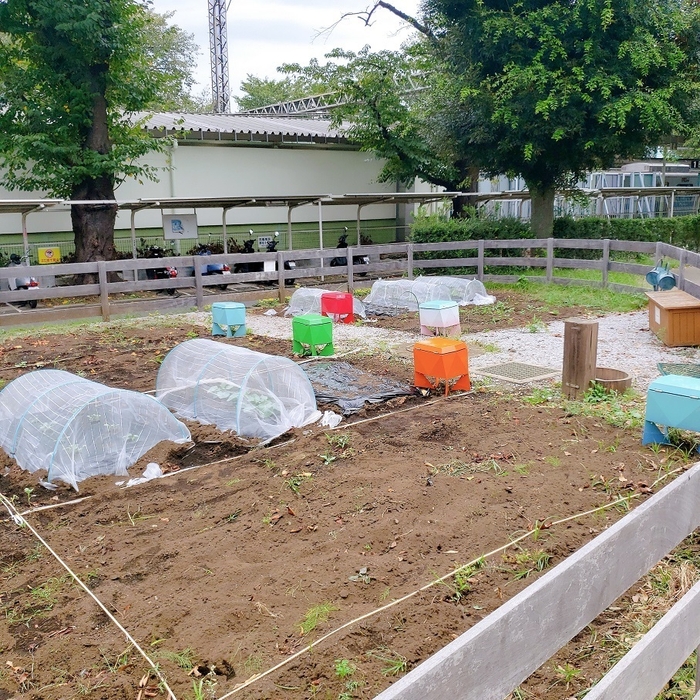 貸農園イメージ(提供:株式会社マイファーム)