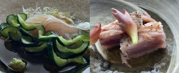 魚菜料理 縄屋×MOTOI