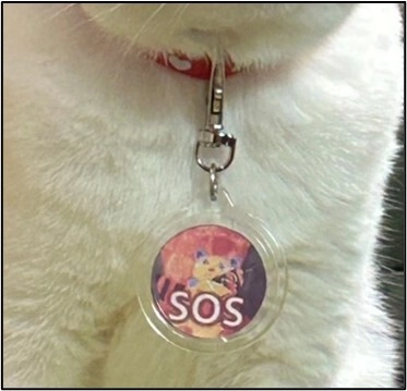 迷子猫を一頭でも減らし、飼い主が万が一の時でも 置き去りにすることを防げる新しいシステム 「マイにゃんSOSコード」を大学生が発案・具体化し、 10月17日よりクラウドファンディングを立ち上げ