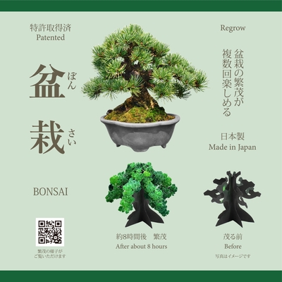 繁茂の様子