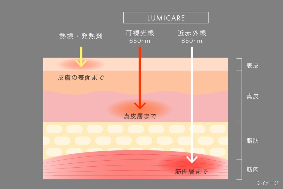 筋肉層まで届く近赤外線