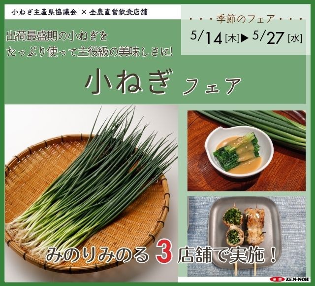～出荷最盛期の小ねぎをたっぷり使って主役級の美味しさに!～
全農直営飲食店舗で「小ねぎフェア」を
５月１４日（木）～５月２７日（水）に開催