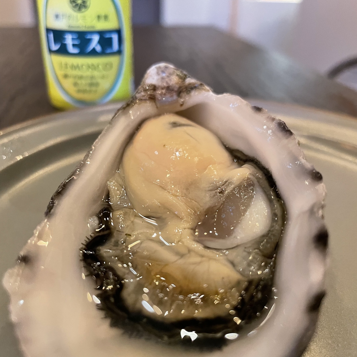 【土曜日限定】オイスターバー「SOYSTER」が赤坂見附にオープン!産地の海水入りオイスターと100種ワイン飲み比べが楽しめます!