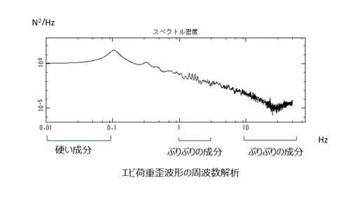 エビの「ぷりぷり感」の正体を科学的に解明　昭和女子大学と三菱商事ライフサイエンス株式会社による共同研究を学会で発表