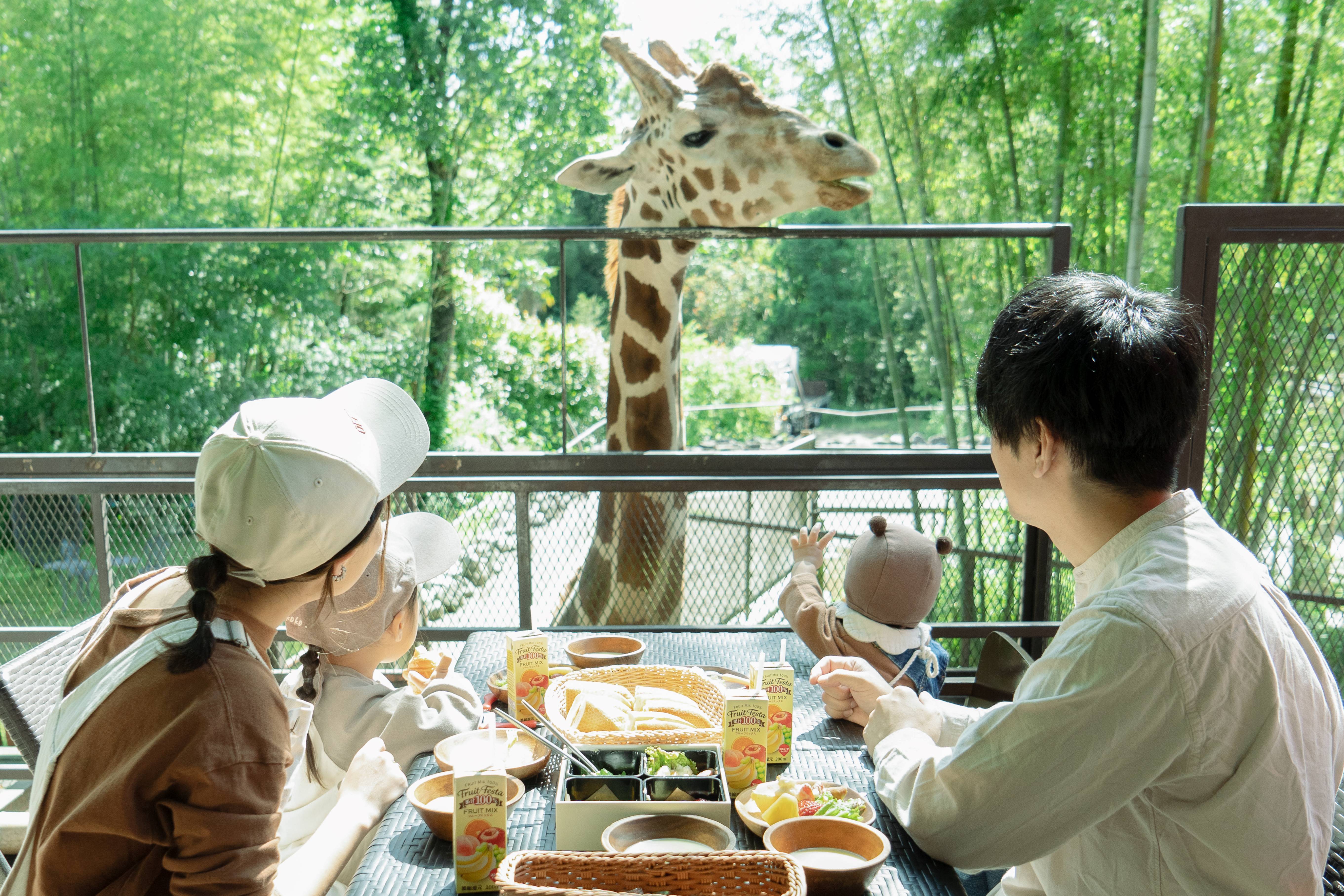 撮影場所:サユリワールド園内「キリンテラス」