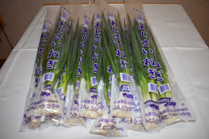 松戸特産 あじさいねぎ