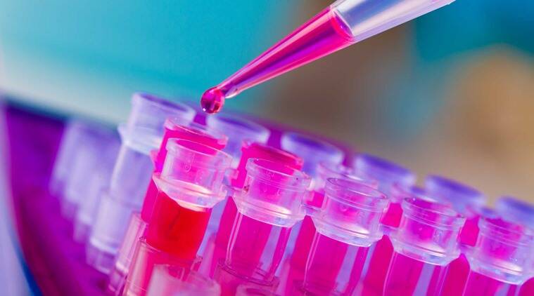 裂肛治療市場ー治療の種類別、投与経路別、エンドユーザー別、流通チャネル別、および地域別ー世界の需要と供給の分析と機会の見通し2022ー2031年