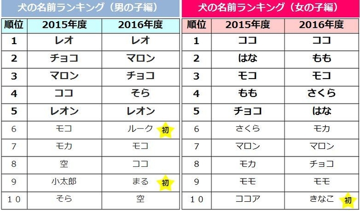 犬の名前ランキング
