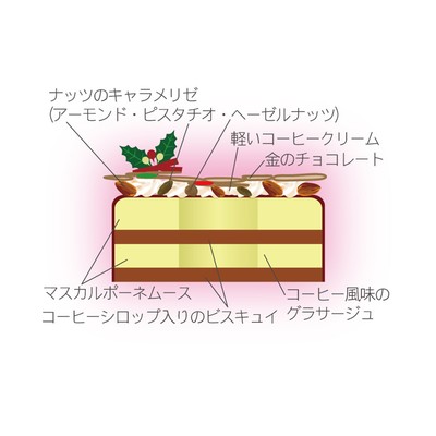リースティラミス断面図(イメージ)