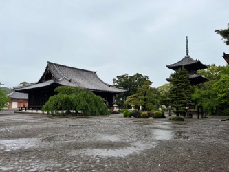 和歌山県で新しい旅のスタイル、ワーケーションを体験！ 和歌山ほっこり探訪 ～日本一の“梅”の産地で“田舎ぐらし”～ 　7月31日(日)夕方6時30分～BS12 トゥエルビで放送