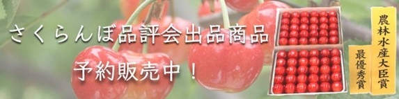 URL：https://www.ja-town.com/shop/e/e10006225/