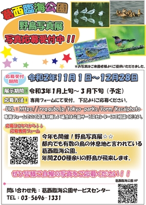 募集チラシ