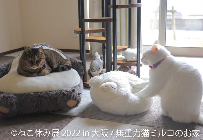 展示作品9