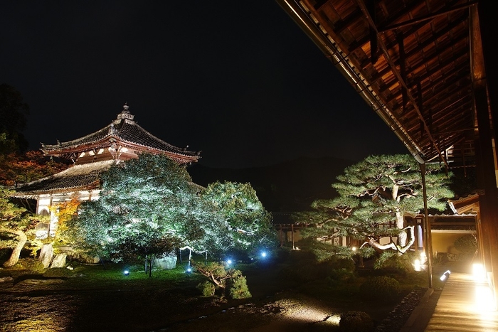 （客殿から静寂に包まれた庭園を臨む