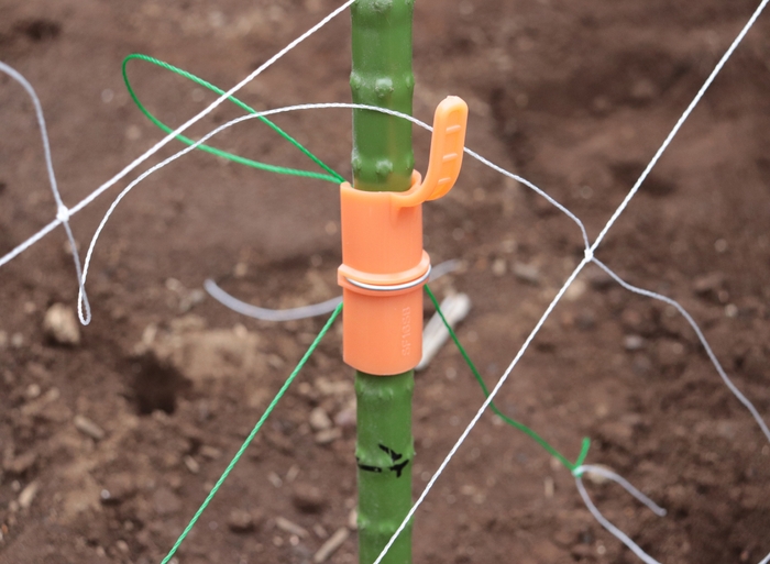 キュウリ、エンドウ等のつる性野菜の各種ネットの固定に(新ねぶし竹使用例)