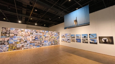 過去の展示の様子(宝塚市立文化芸術センター)1